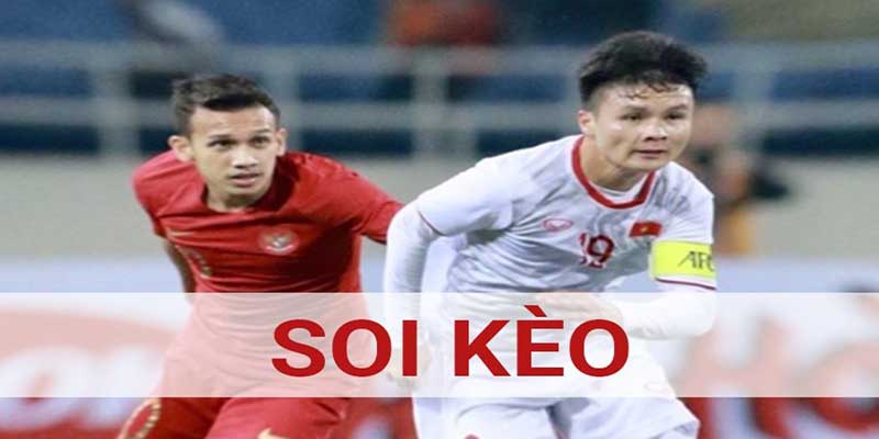 Cách đọc hiểu kèo cực kỳ quan trọng cho tân thủ