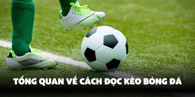 Tìm hiểu cách đọc kèo bóng đá