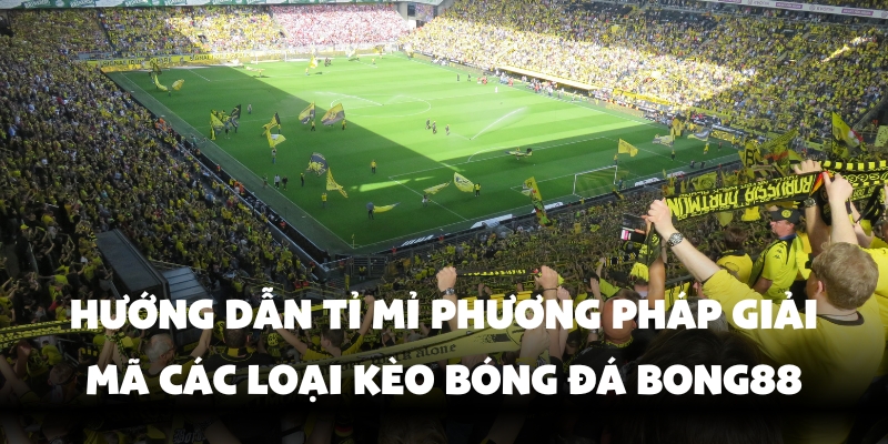 Thế giới cược bóng đá đa dạng