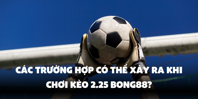 Tăng tỷ lệ chiến thắng khi cược